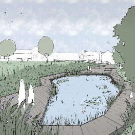An artist's impression of the Coveney pond
