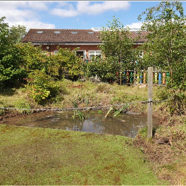 The pond at Spring Meadow school